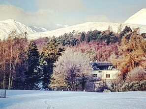 Surrounded by trees and snow-capped mountains, this serene retreat offers a peaceful escape.