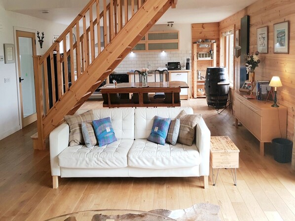 TV, DVD player, books, music library