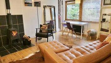 TV, DVD player, books, music library