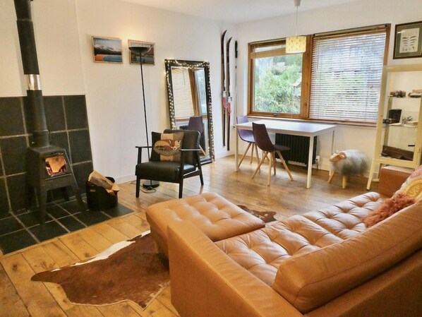 TV, DVD player, books, music library