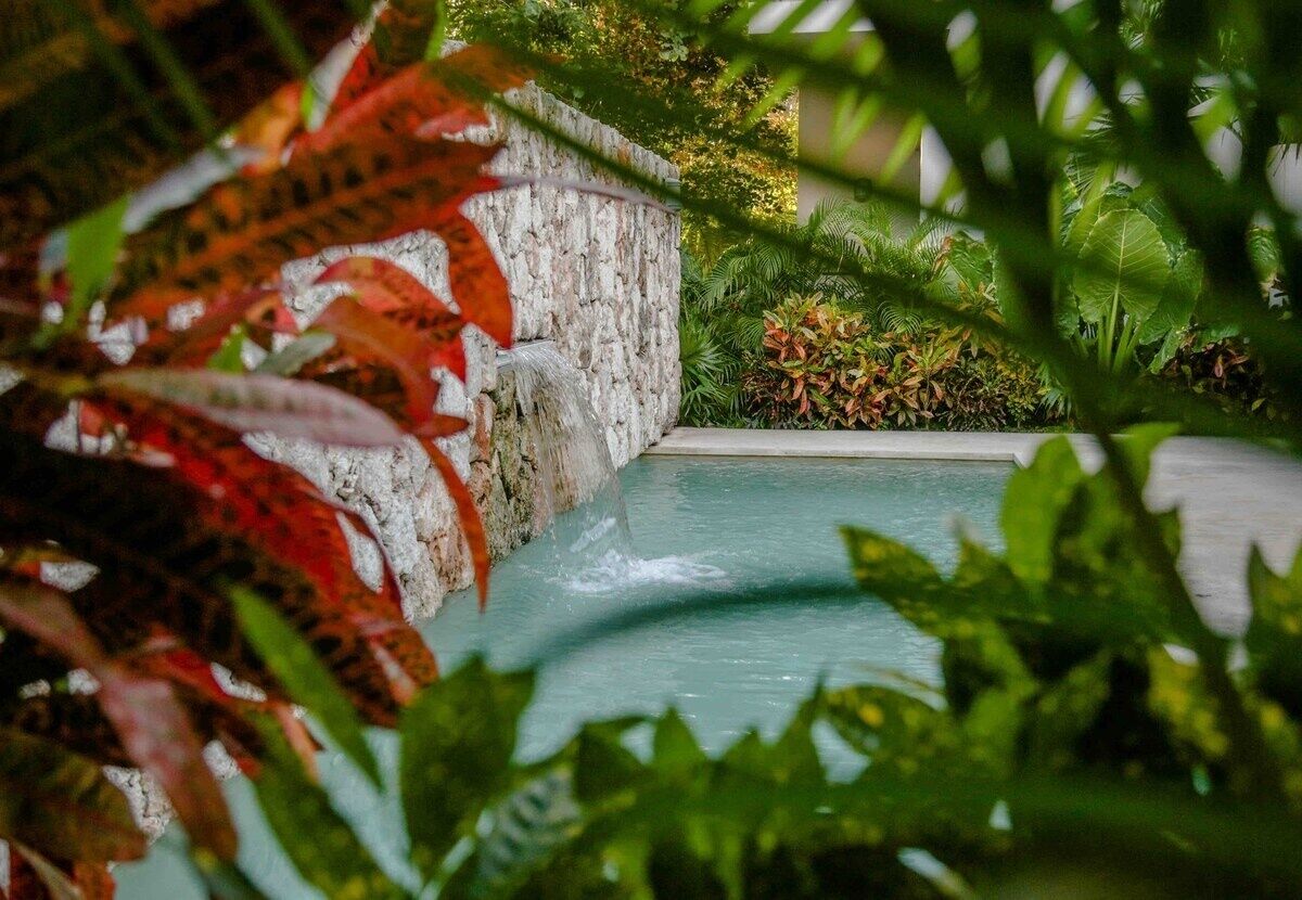 A pool surrounded by lush greenery and a stone wall.