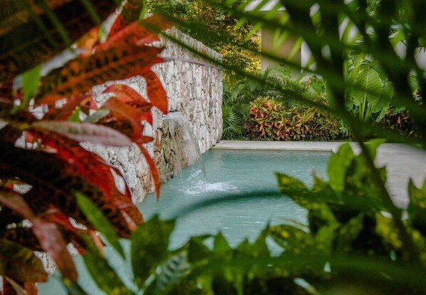 A pool surrounded by lush greenery and a stone wall.