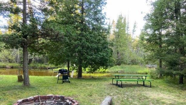 BBQ/picnic area - Fireside Lodge (Atlanta)