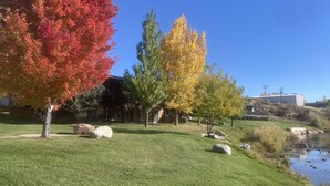 A landscaped area with a pond, trees in autumn colors, and a building in the background.