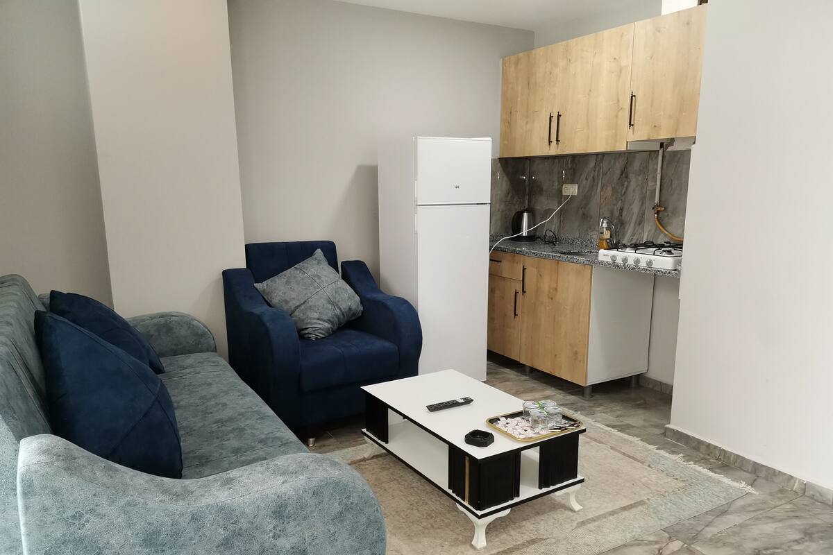 A compact living space with a sofa, armchair, small table, and a kitchenette area.