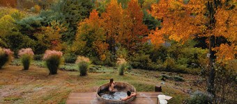 Hillcrest Glasshouse - a minimalist modern retreat