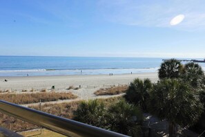 A beach view with a wooden pier, palm trees, and a clear sky.