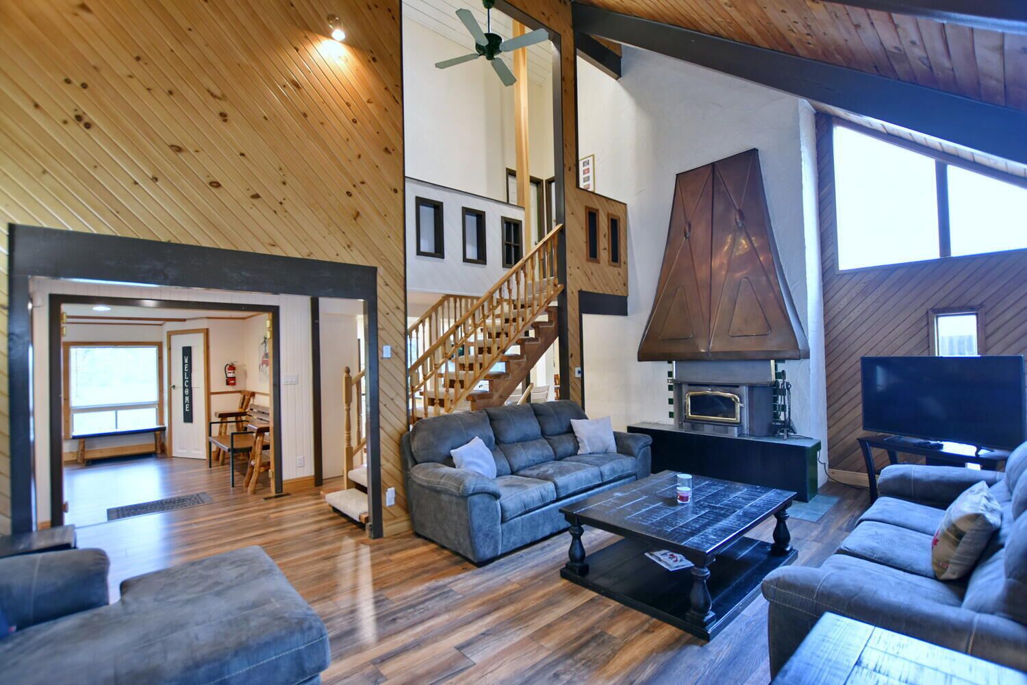 TV, fireplace, DVD player