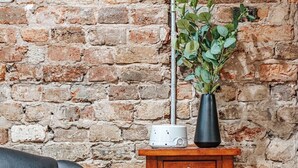 Un sofá de cuero negro, una mesita de madera con una radio, un florero con plantas verdes y un fondo de pared de ladrillo.