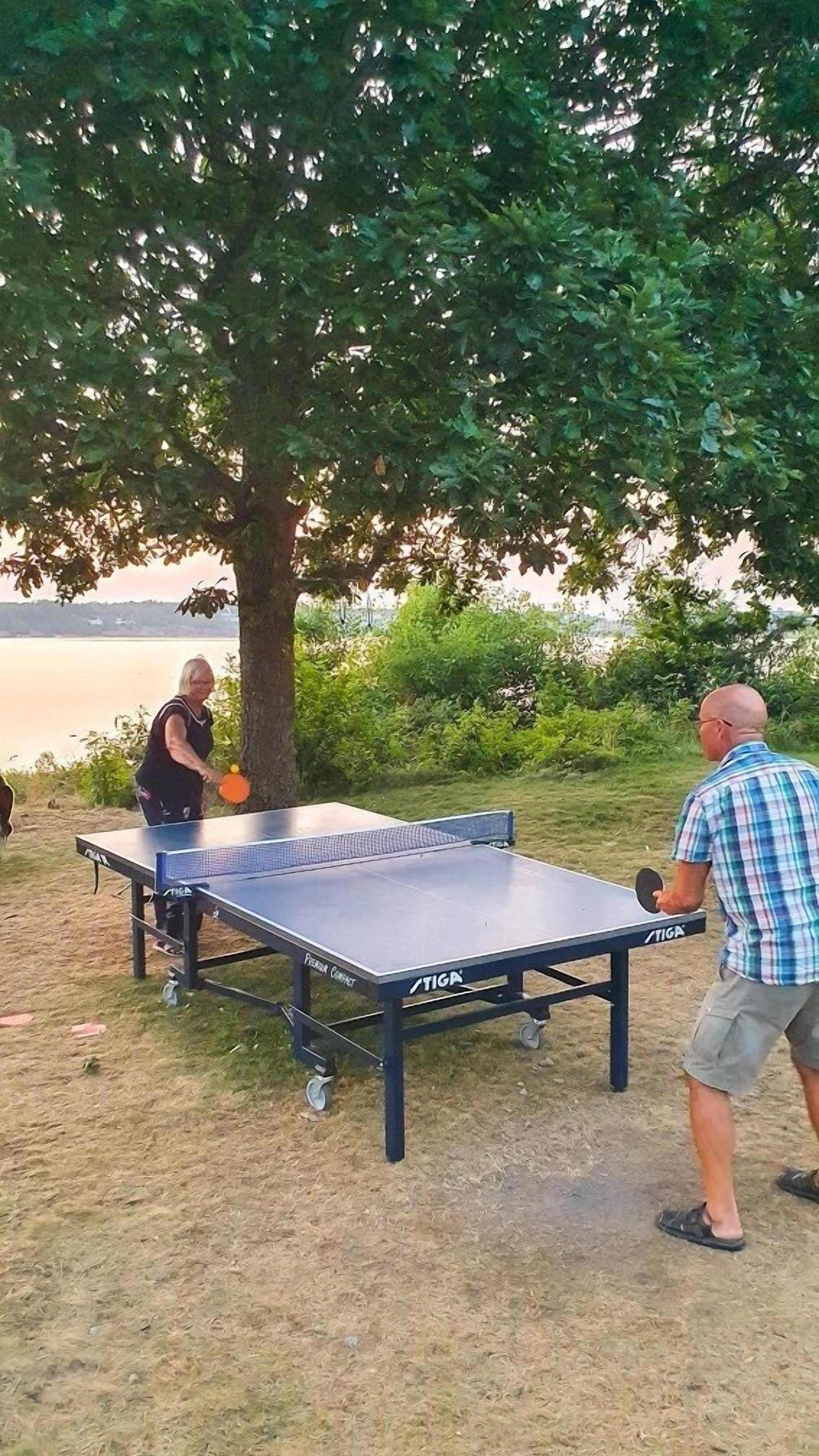 A table tennis table outdoors with a tree and grass around it.