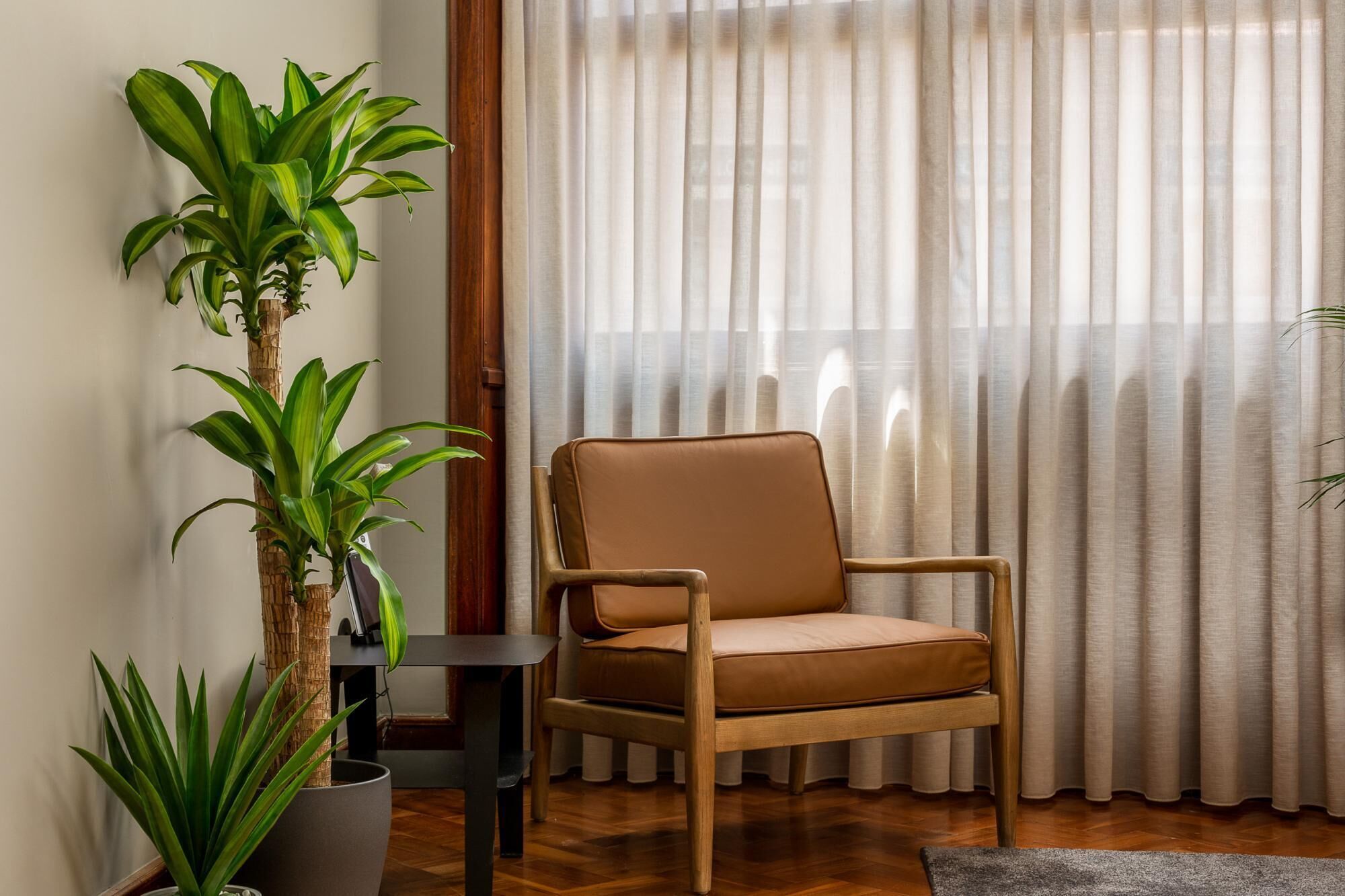 A room with a wooden chair, a potted plant, and a window with sheer curtains.
