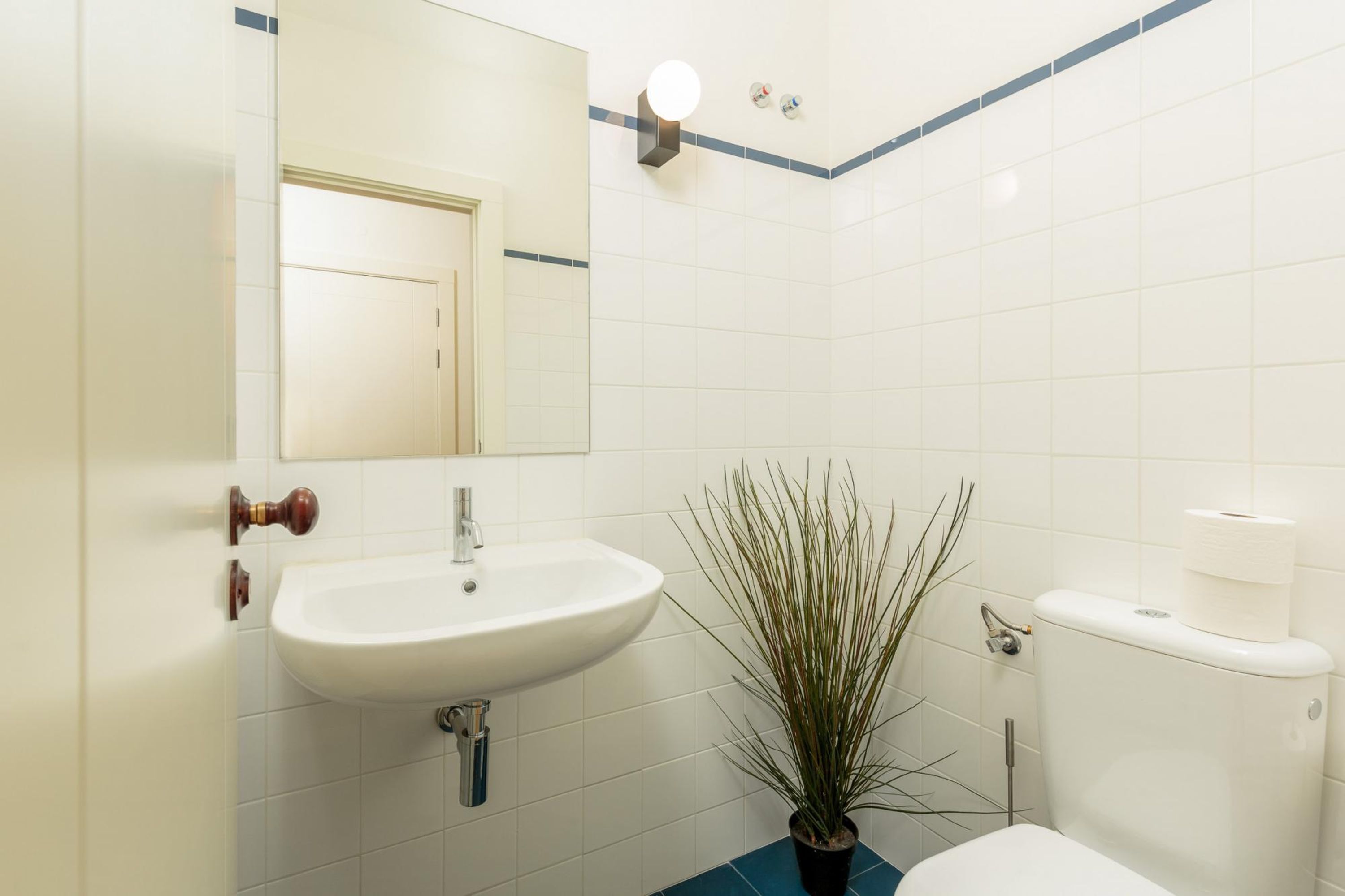 Un baño con un lavabo blanco, un espejo, un inodoro y una planta en maceta.
