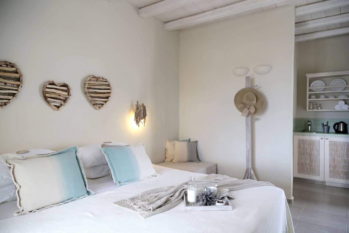 Habitación con 1 cama matrimonial o 2 individuales | 1 habitación y caja de seguridad en la habitación