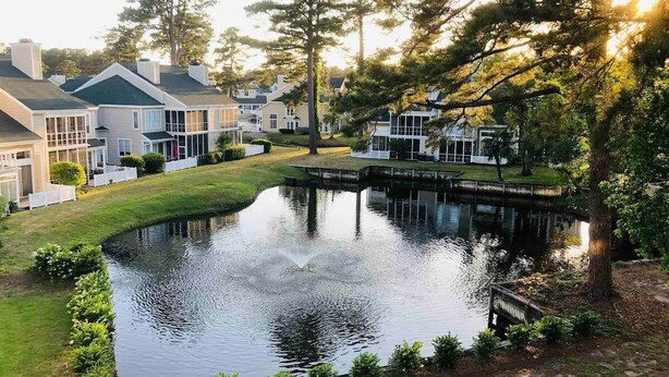 A residential area with a pond, houses, and a bridge.