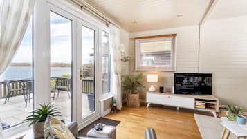 Smart TV, DVD player, video library, stereo