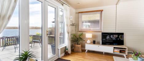 تلفزيون ذكي، مشغل دي في دي، مكتبة فيديو، ستيريو