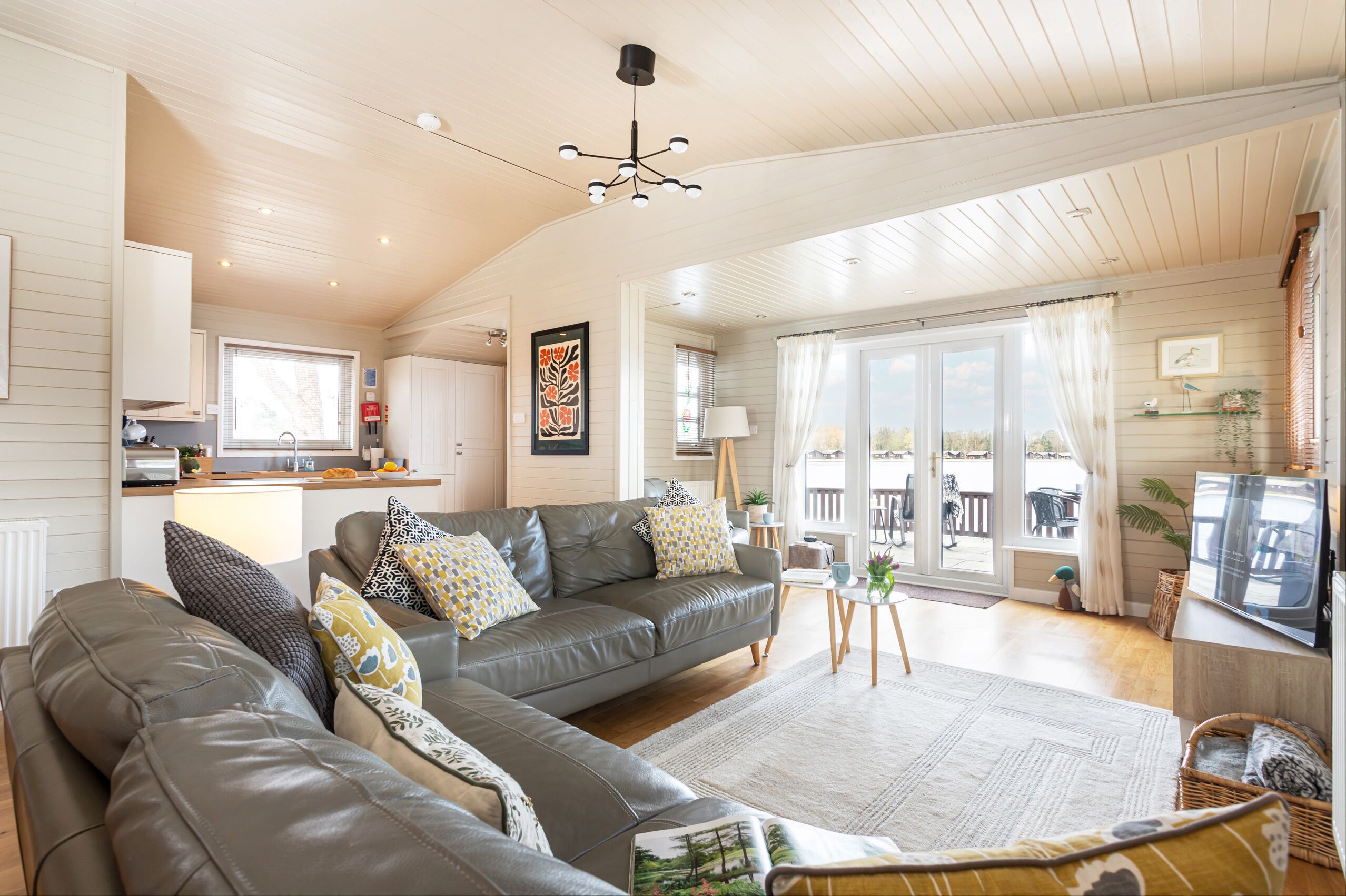 Smart TV, DVD player, video library, stereo