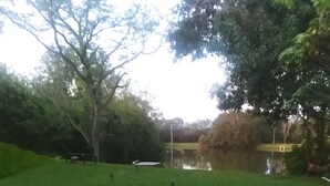 Een tuin met een opvallende gele bloem op de voorgrond en een vijver op de achtergrond.
