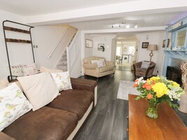 TV, video-game console