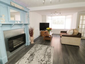 TV, 비디오 게임기