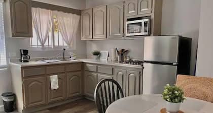 Lindo depa remodelado, tranquilo y centrico!