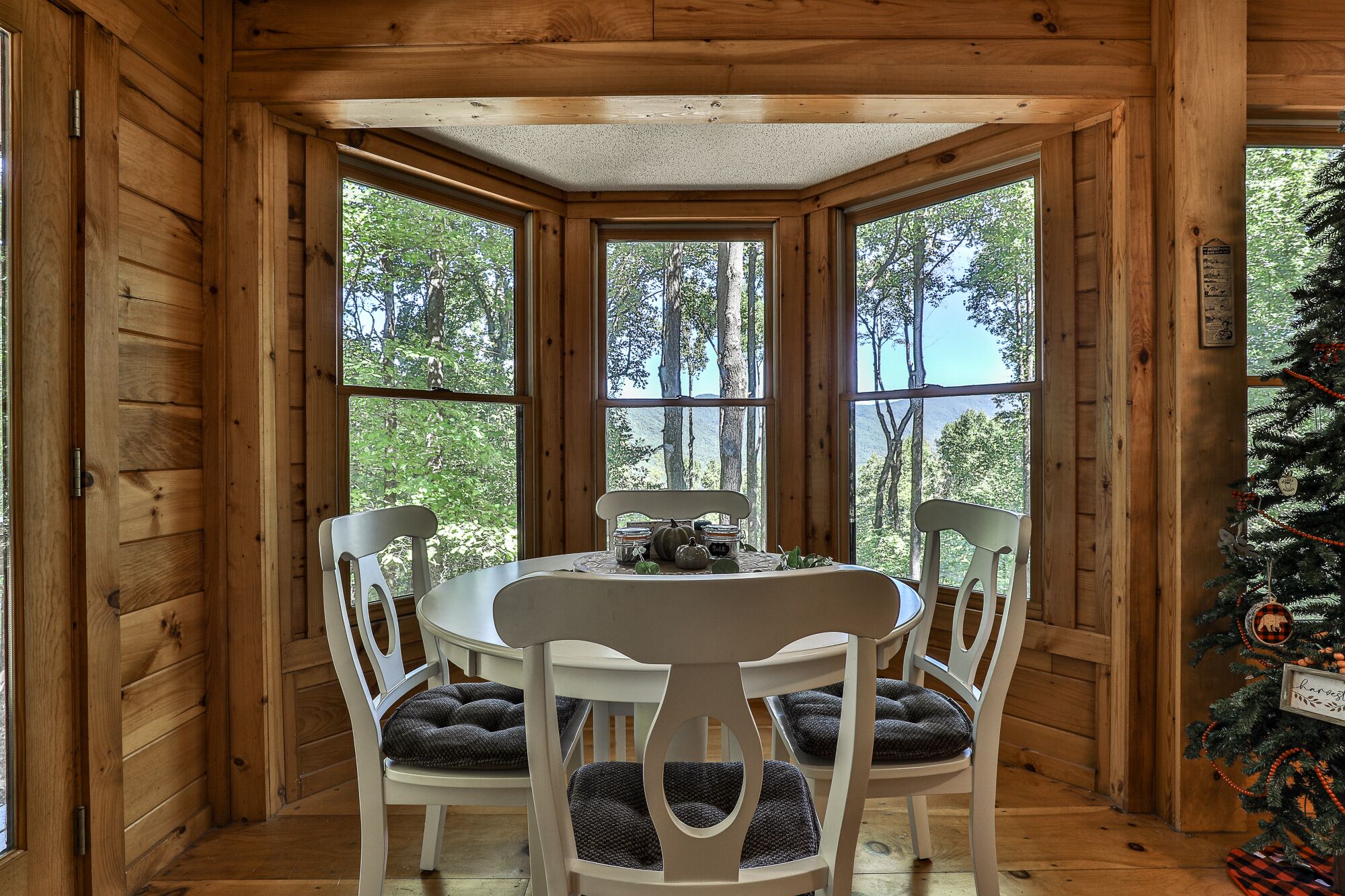 Bear-A-Dise Ridge -  Sunset Views, Game Room/Minimum Age Requirement of 25 yrs o