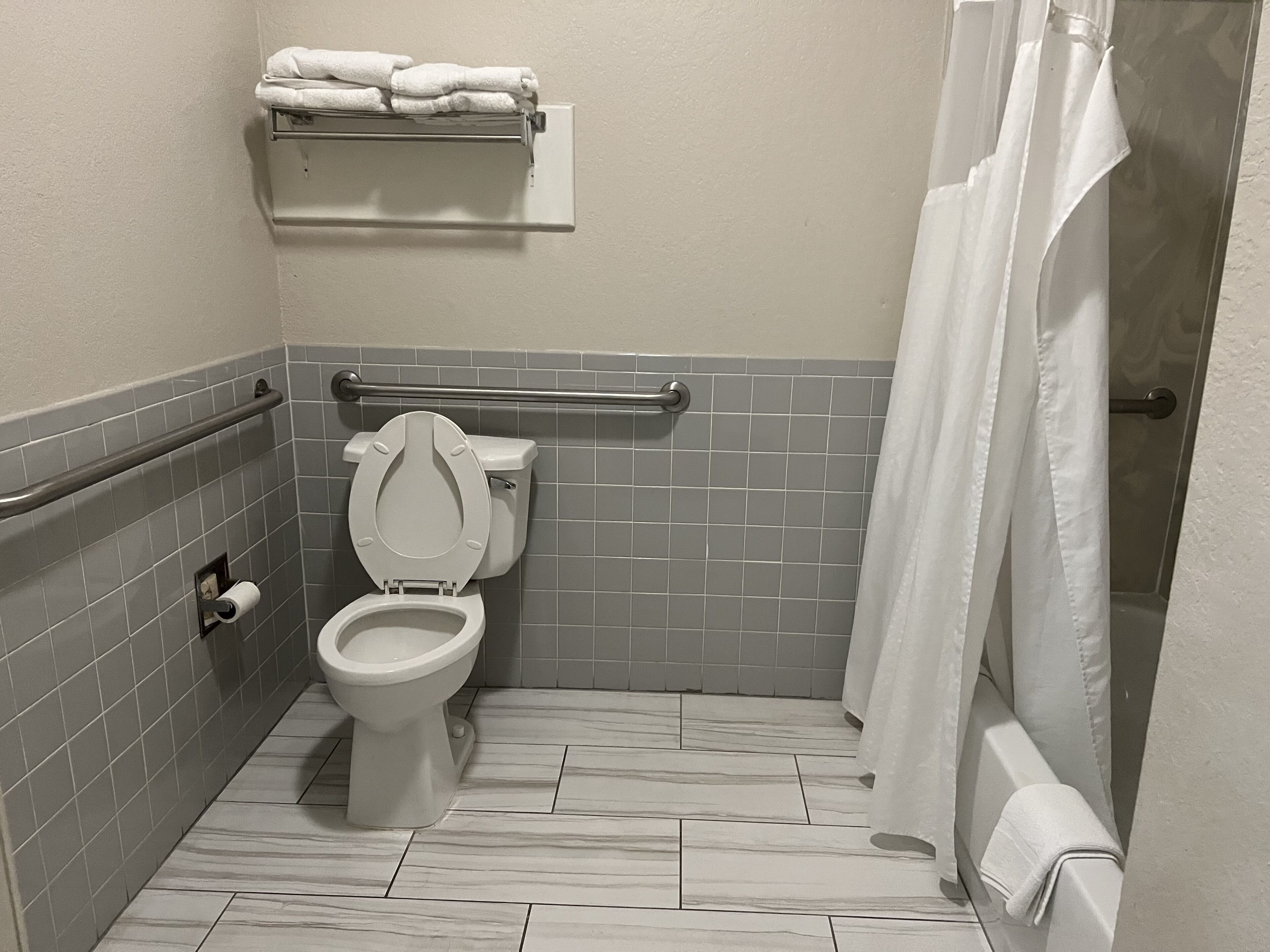 A bathroom with a toilet, a towel rack, a shower curtain, and a handrail.