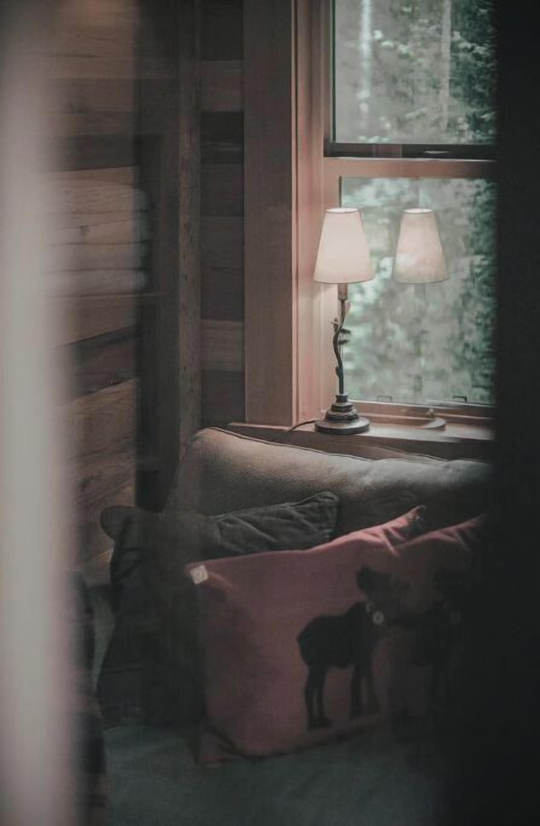 Une pièce chaleureuse avec un décor intérieur en bois, une fenêtre donnant sur les arbres et une lampe posée sur le rebord de la fenêtre.