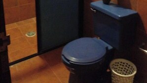 A bathroom with a toilet, a shower enclosure, and a trash bin. - My Depa Waterfall In the Center of Cd. valleys (Ciudad Valles)