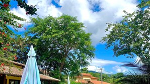 Une piscine entourée de chaises longues et d’un parasol, le tout baigné d’une végétation luxuriante et surplombé d’un ciel bleu azur.