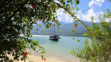 Paseos en bote