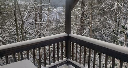 Cozy condo on the hill across from Sugar Mountain