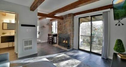 Cozy condo on the hill across from Sugar Mountain