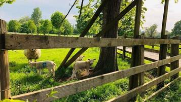 Terrain de l’hébergement