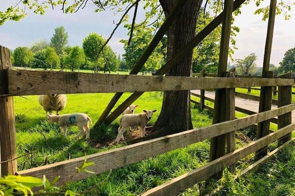 Áreas de la propiedad