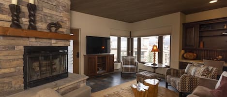 Televisión, chimenea y libros