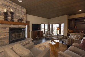 TV, fireplace, books