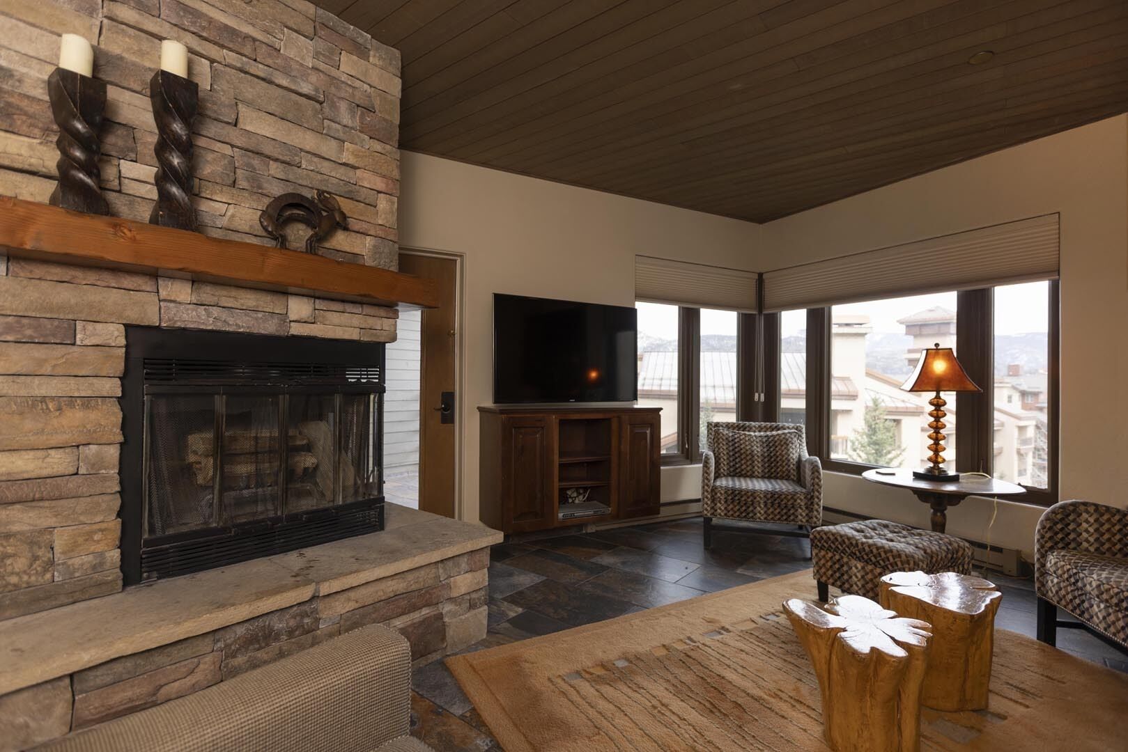 Televisión, chimenea y libros 