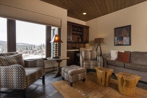 TV, fireplace, books