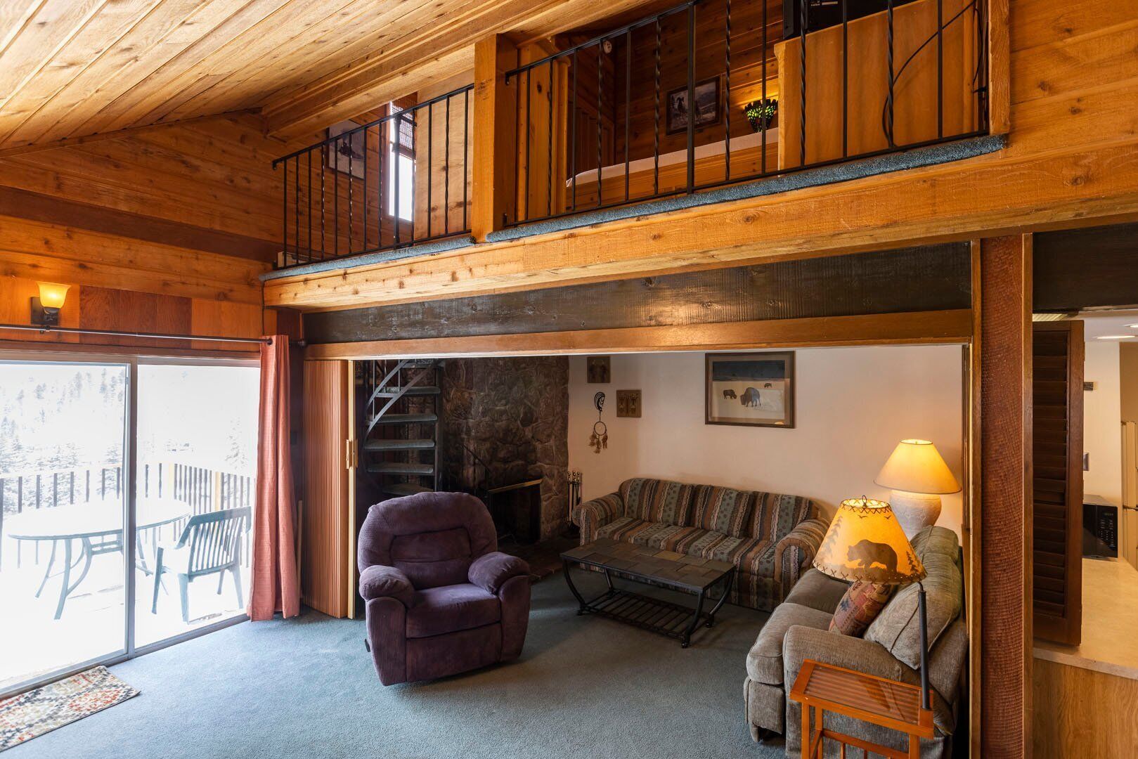 TV, fireplace, books