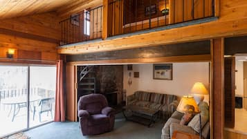 TV, fireplace, books