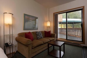 TV, fireplace, books