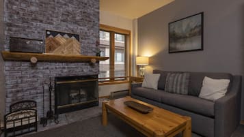 TV, fireplace, books