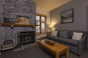 TV, fireplace, books
