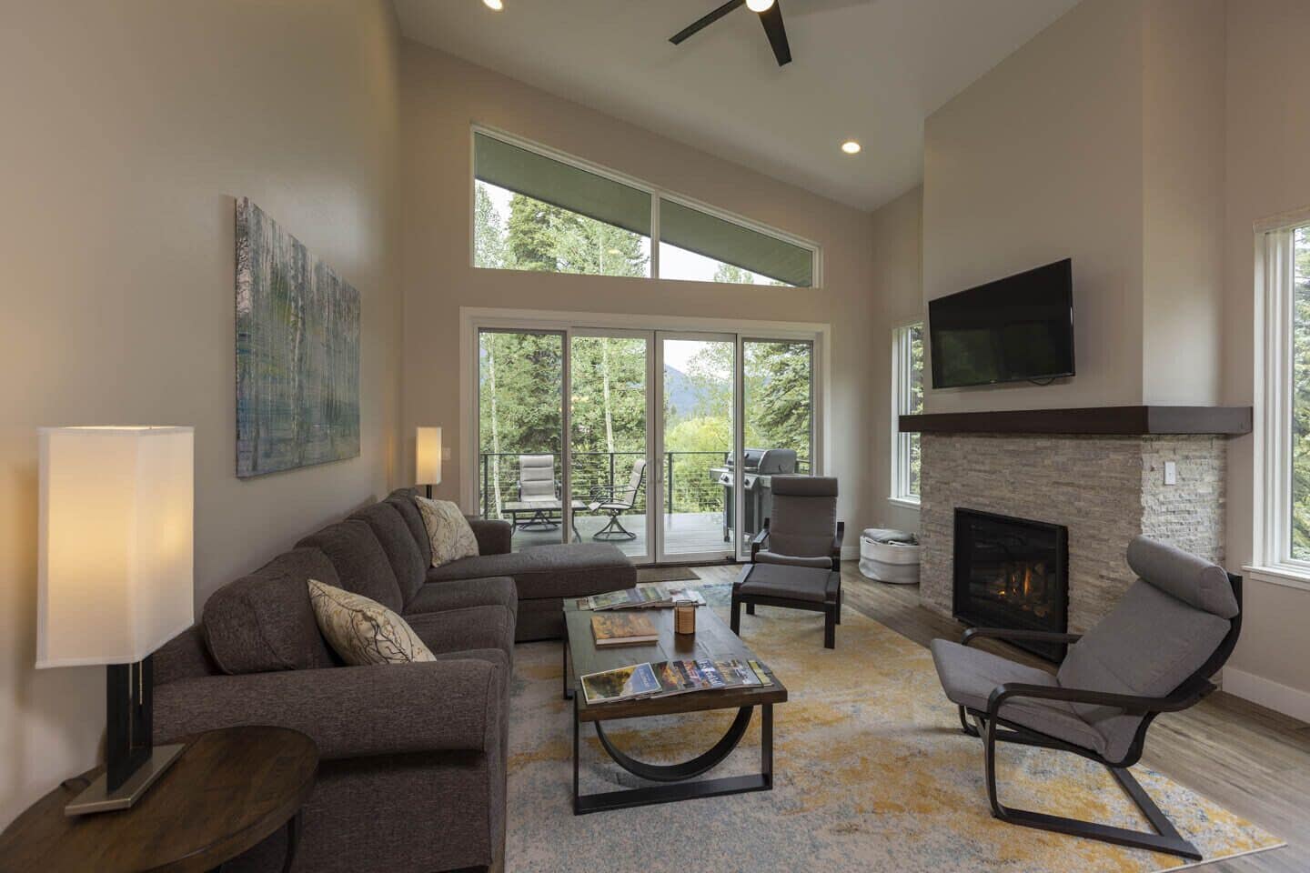 Televisión y libros 