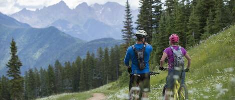 Zwei Personen fahren auf einem Mountainbike-Weg mit Blick auf Berge und Bäume.