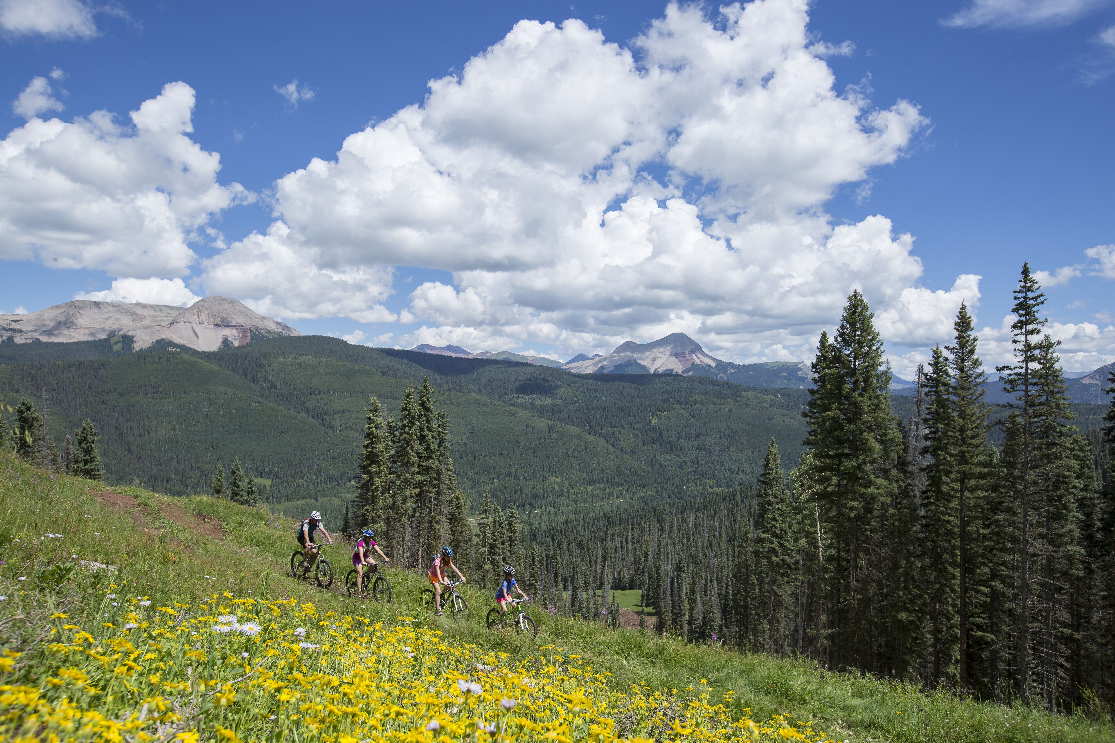 A mountain biking trail with cyclists, surrounded by green hills and a clear sky.