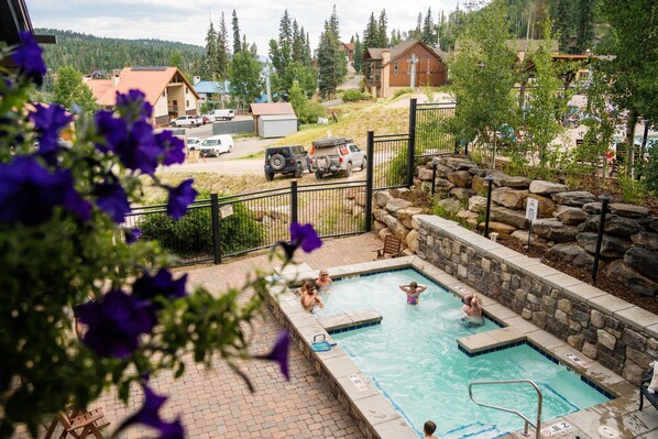 Guests can enjoy a refreshing swim in the pool surrounded by lush trees and houses.