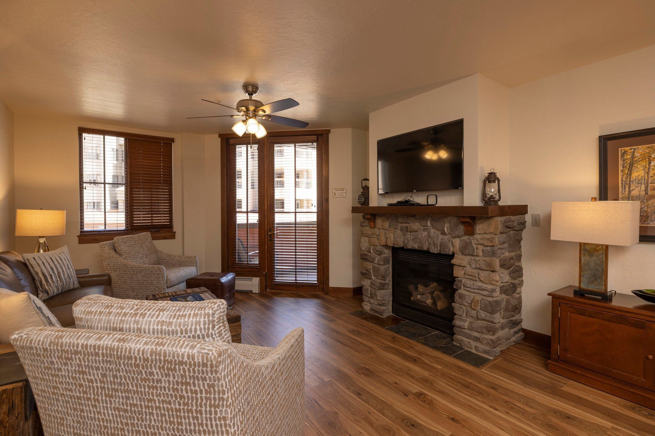 TV, fireplace, books