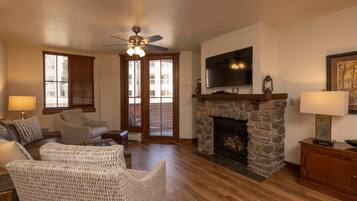 TV, fireplace, books